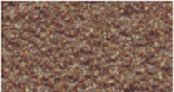 Brown Bark